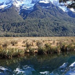 Travel: Magnificent Milford Sound, New Zealand Copyright Content Catnip 2016