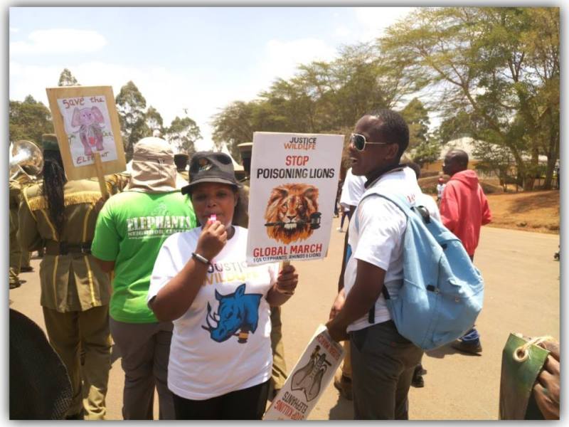 A Peaceful demonstration for wildlife conservation