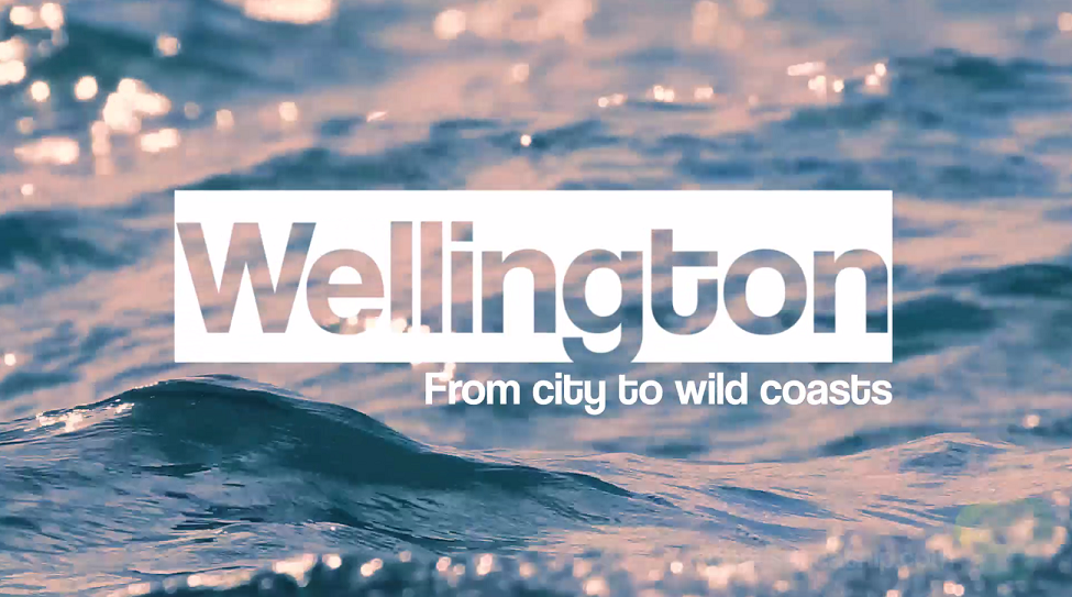 Travel: Wellington from city to wild coasts