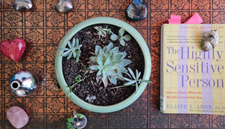 Book Review: The Highly Sensitive Person: How to Thrive When the World Overwhelms You by Dr Elaine Aron