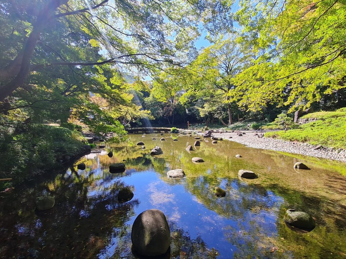 Travel: Koishikawa Korakuen Gardens